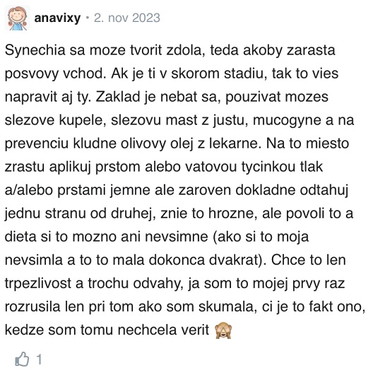 Ako vyzerá synechia diskusia Modrykonik