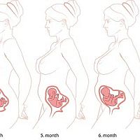Tehotenstvo 1. až 9. mesiac